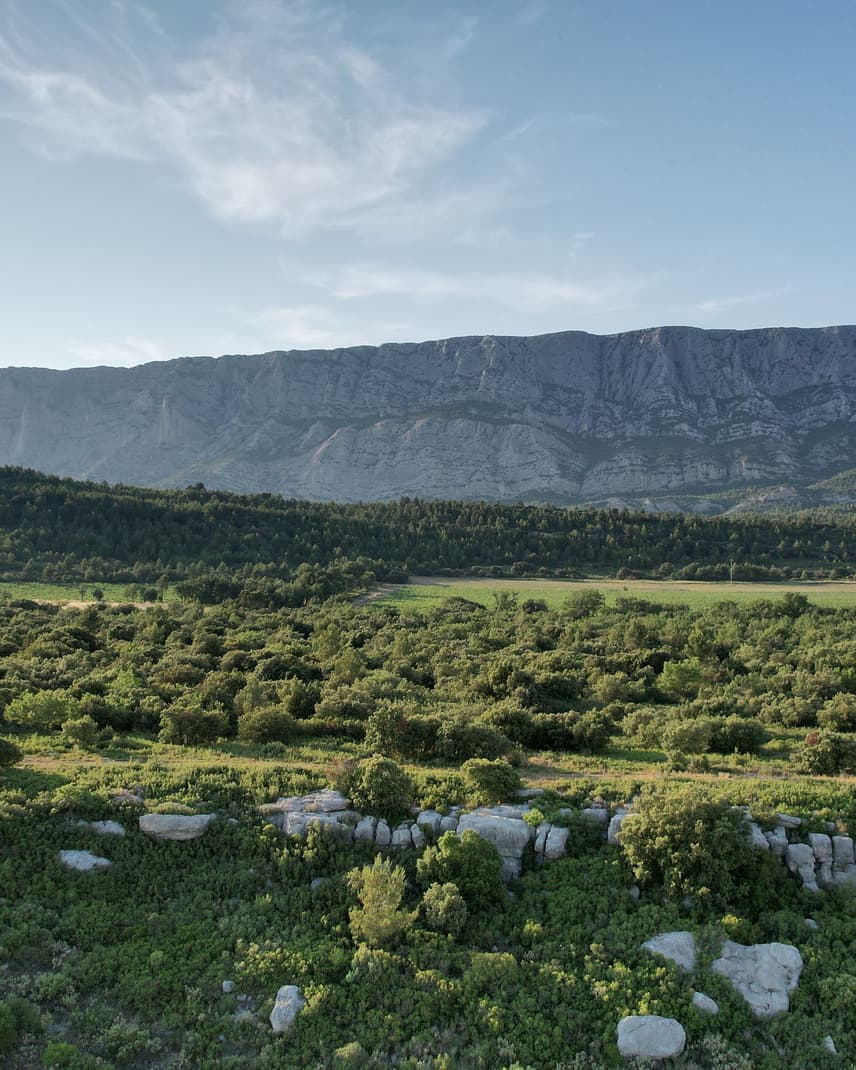 La montagne Sainte-Victoire sous la lumière de Provence